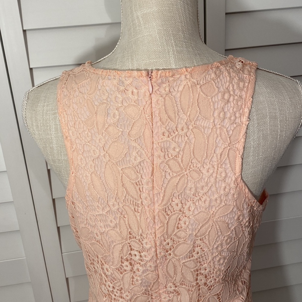 Pinky lace dress NWOT - Picture 4 of 8